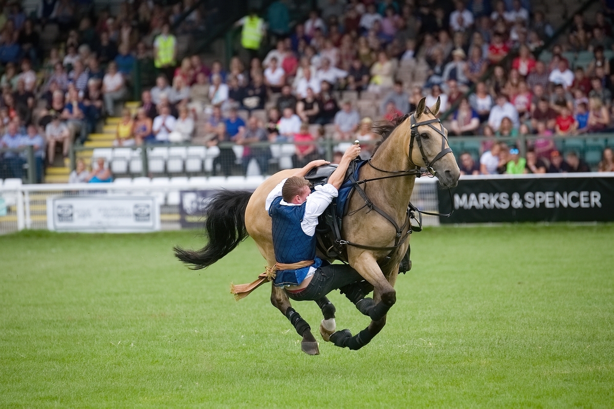 DSC 6464 Exposure Export