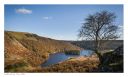 Elan Valley, Rhayader, Wales, Cymru, Welsh Images